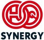 HQ Synergy L.L.C-FZ